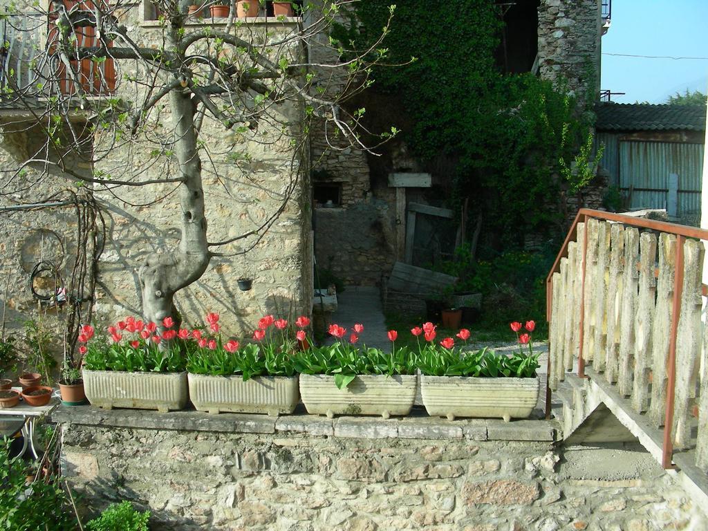 Villa Casa Nadia à San Zeno di Montagna Extérieur photo